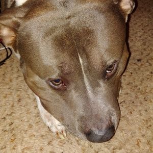 Meet your Posher, Stacey